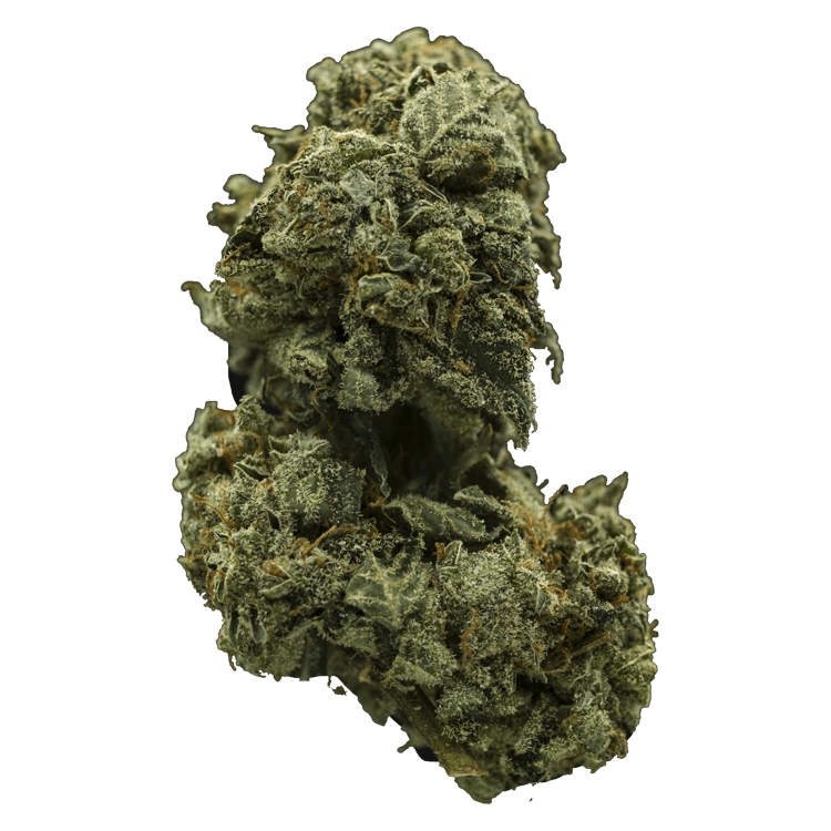 Church OG | BC Weed Edible Canada Church OG | BC Weed Edible Canada