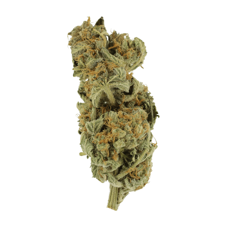 Gorilla Glue | BC Weed Edible Canada