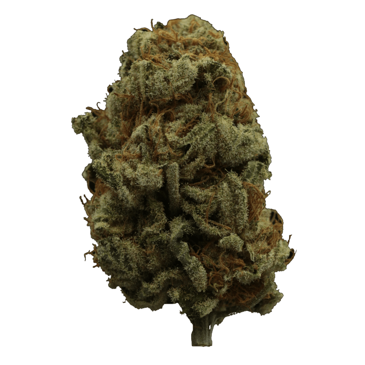 Hempstar | BC Weed Edible Canada