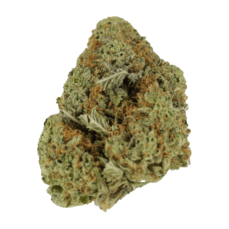Mataro Blue – 1 ounce | BC Weed Edible Canada