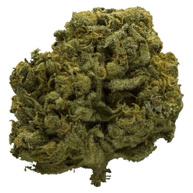 Charlotte’s Web – High CBD | BC Weed Edible Canada