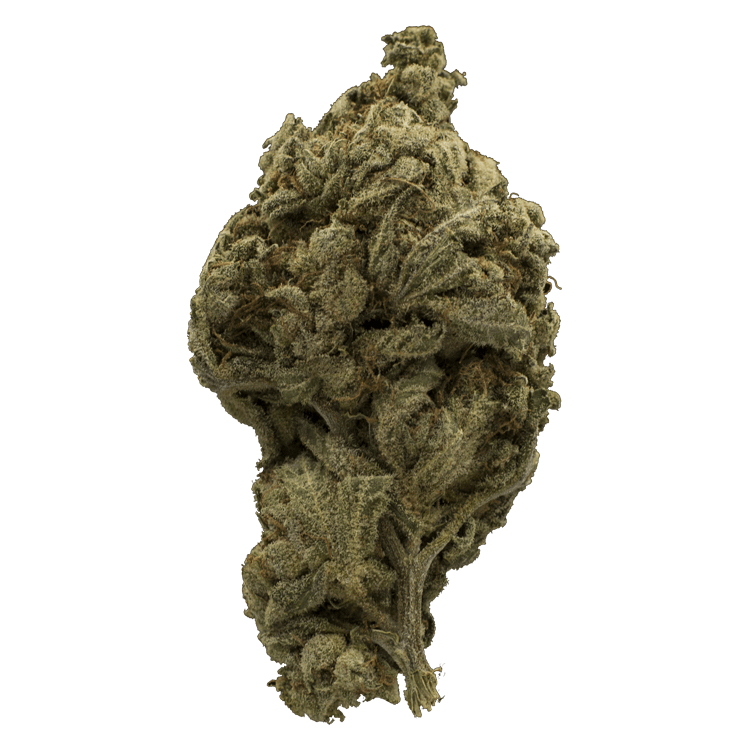 La Blanca Gold | BC Weed Edible Canada