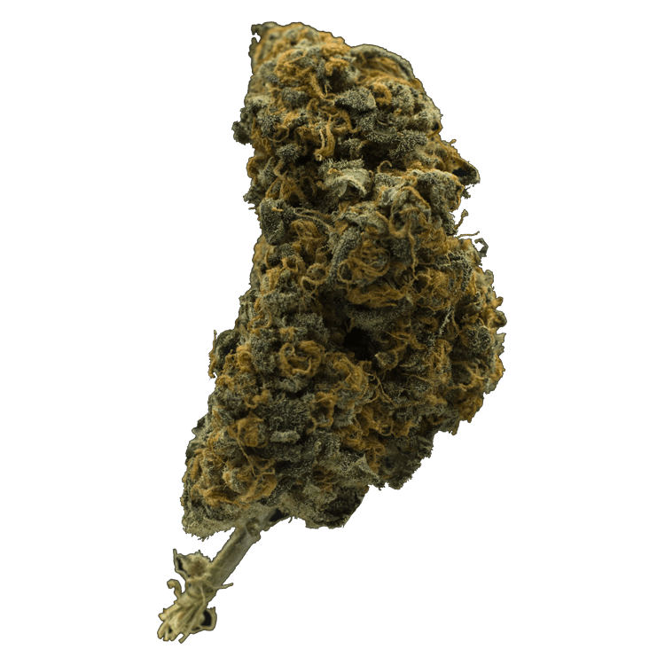 BC CBD | BC Weed Edible Canada