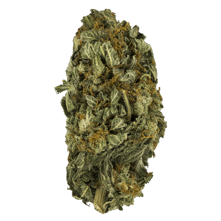 Nebula | BC Weed Edible Canada Nebula | BC Weed Edible Canada