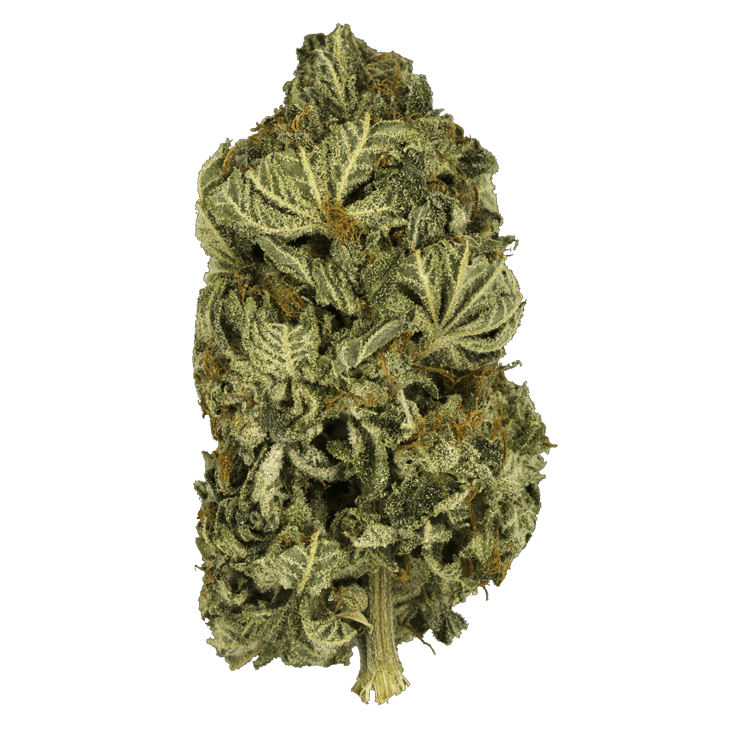 Black Gas – 1 ounce | BC Weed Edible Canada