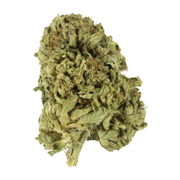 Sour Diesel | BC Weed Edible Canada