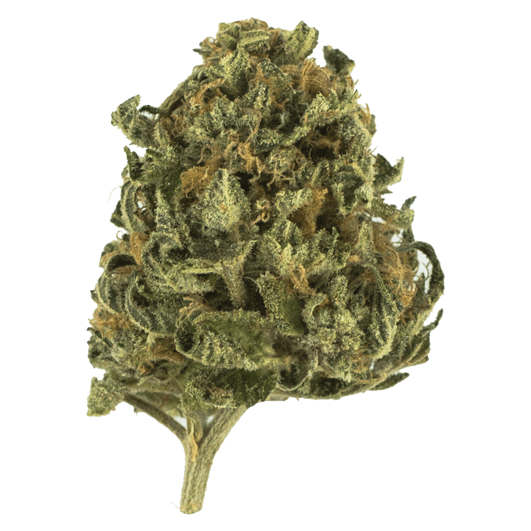 Apple Jack | BC Weed Edible Canada