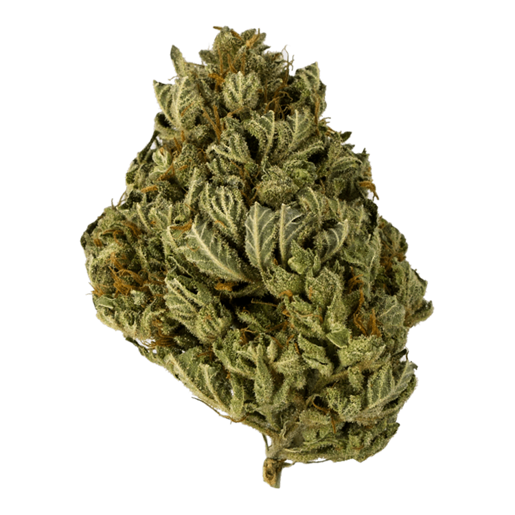 Tangerine Sunrise – 1 ounce | BC Weed Edible Canada