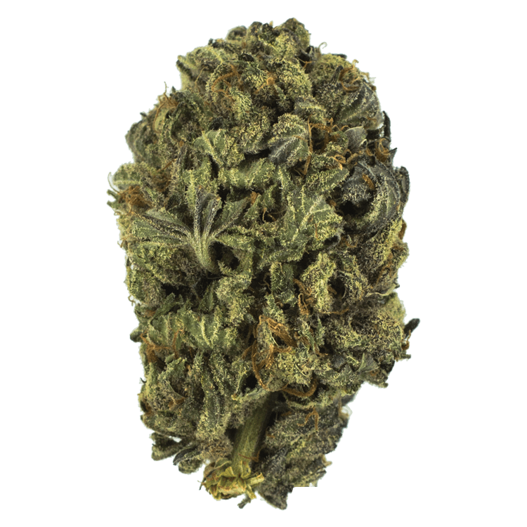 King Kush (Greenhouse) – 1 ounce | BC Weed Edible Canada