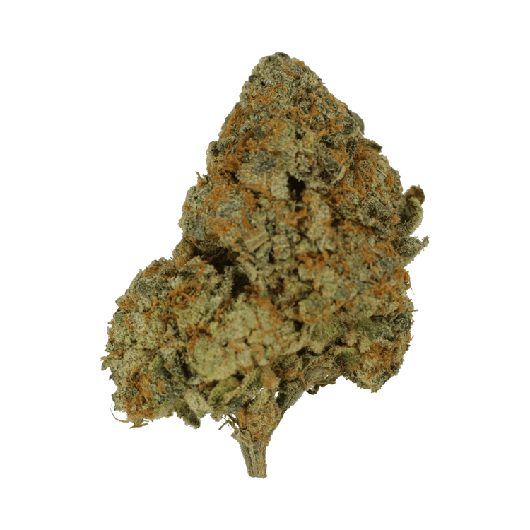 9lb Hammer | BC Weed Edible Canada