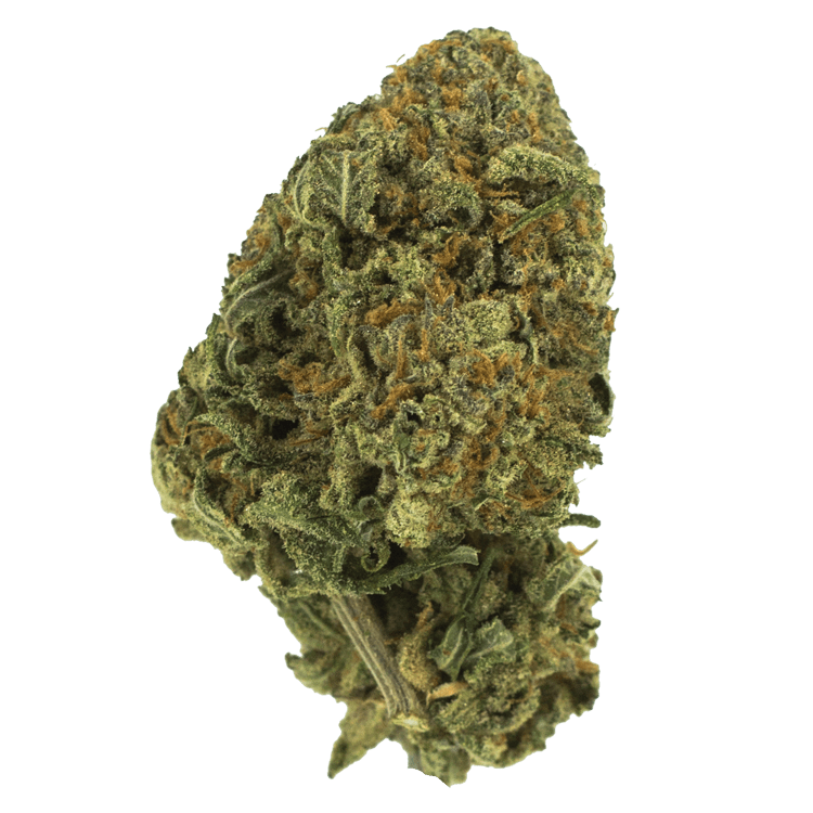 Black Nuken | BC Weed Edible Canada