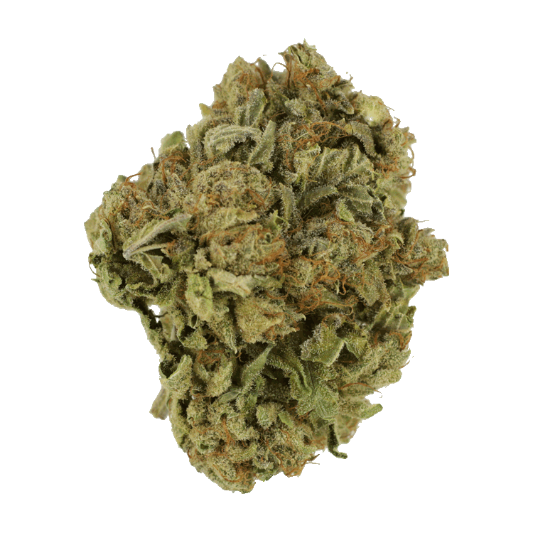 White Castle | BC Weed Edible Canada