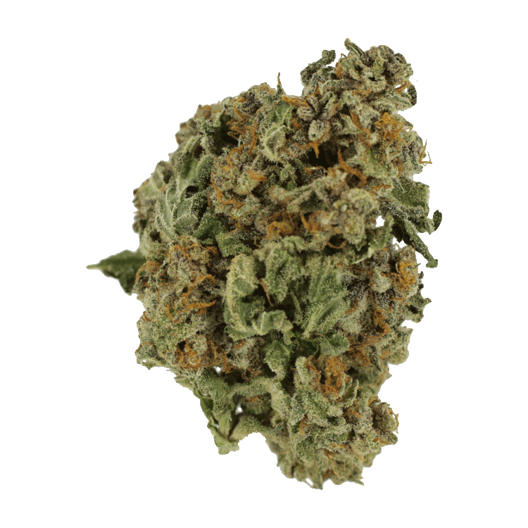 G Code | BC Weed Edible Canada