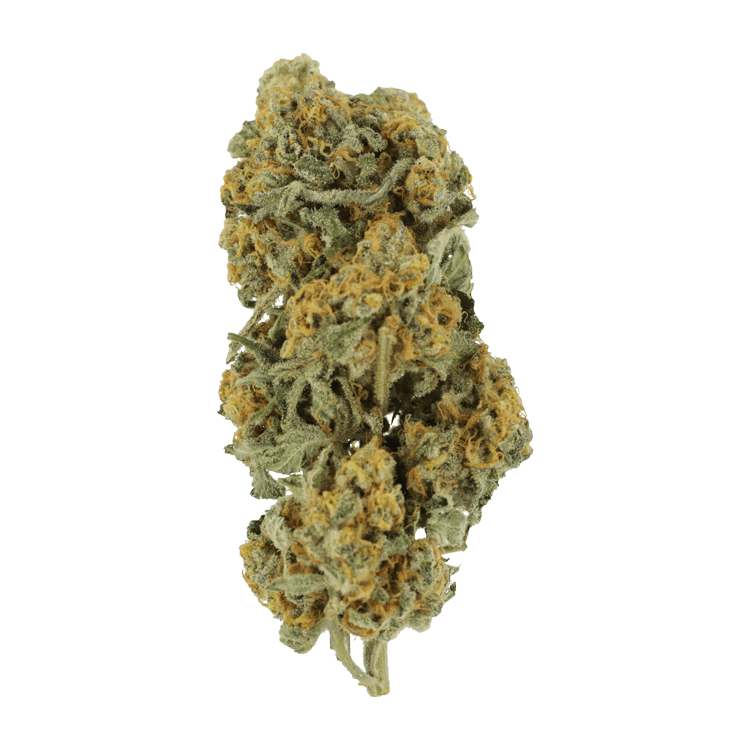 Miracle Alien Cookies | BC Weed Edible Canada