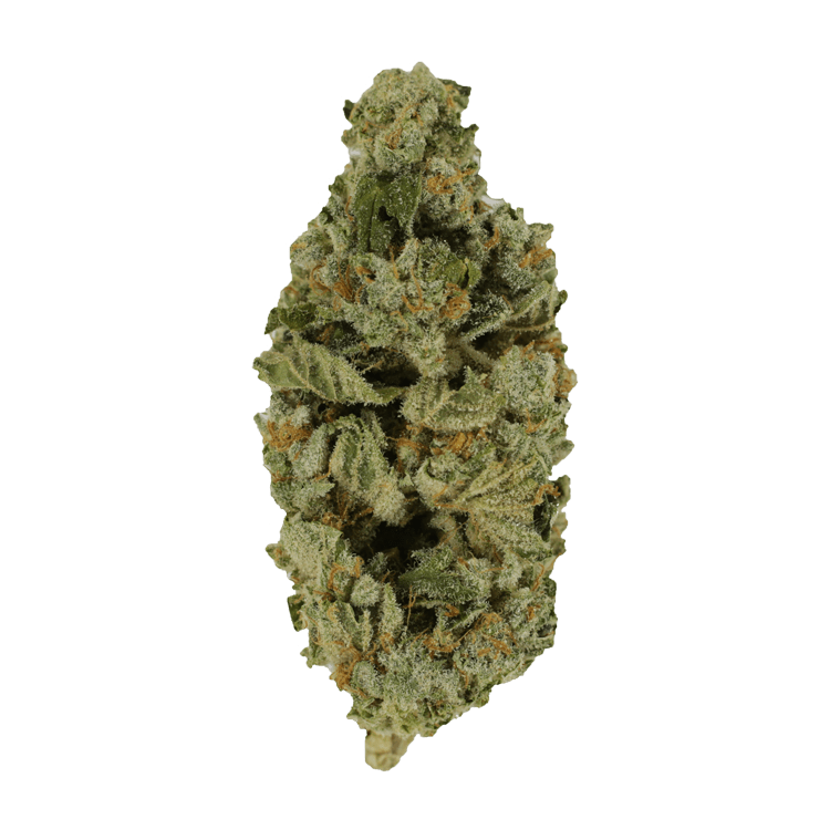 Crazy Glue | BC Weed Edible Canada