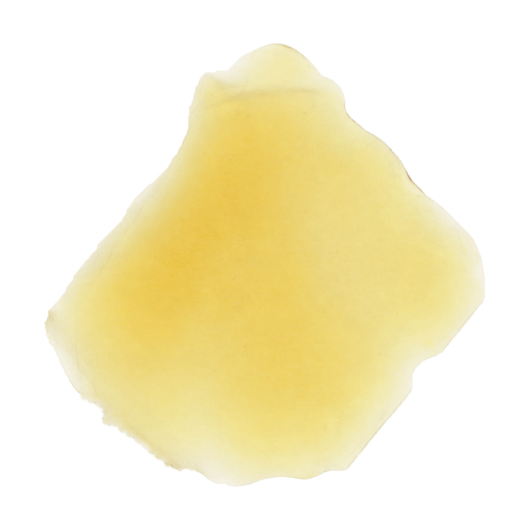 Dickpunch Extracts – Death Bubba (Indica) – 1g | BC Weed Edible Canada