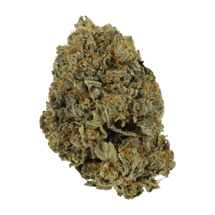 White Shark – 1 ounce | BC Weed Edible Canada
