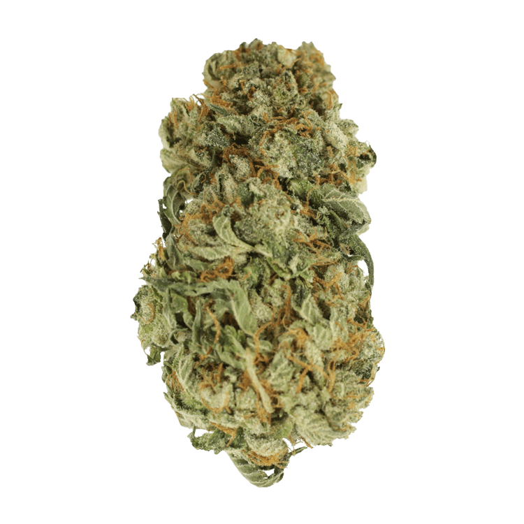 King Louis – 1 ounce | BC Weed Edible Canada