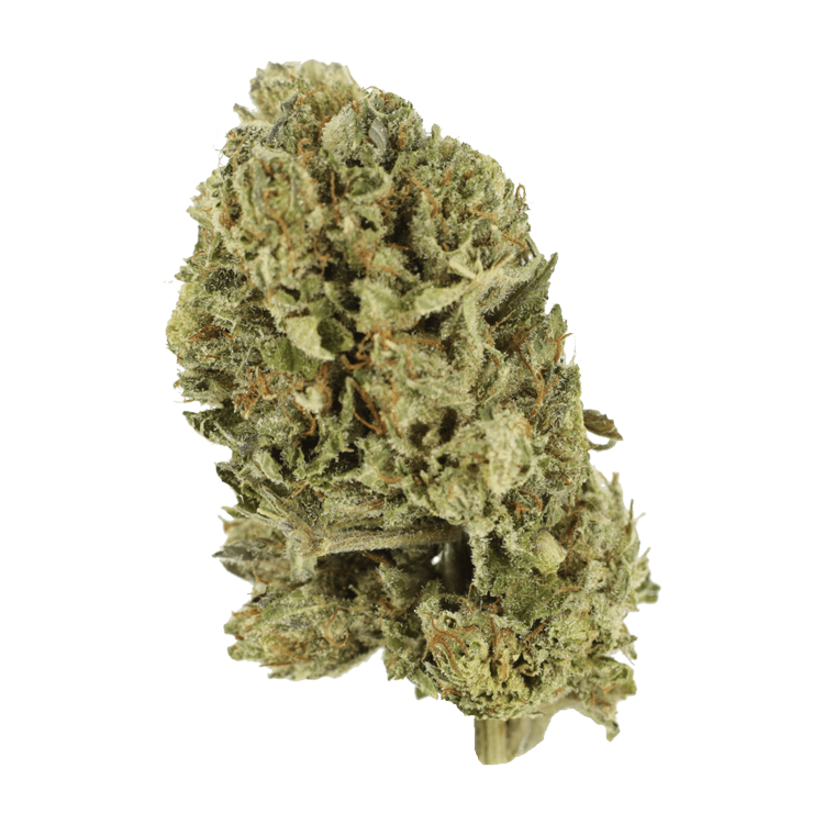 Purple OG Kush – 1 ounce | BC Weed Edible Canada