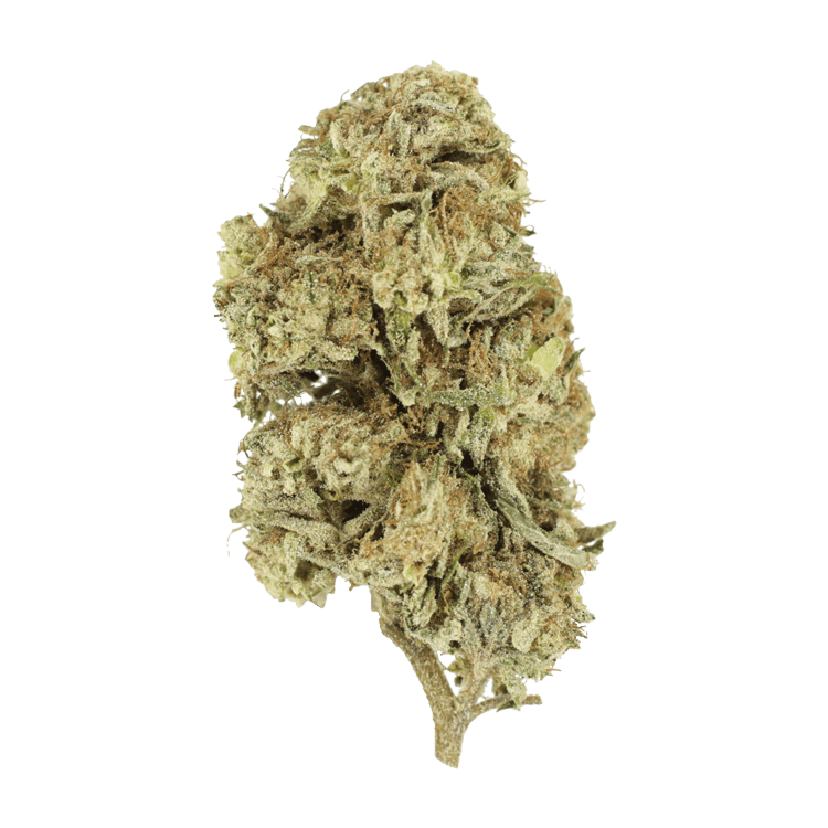 Cherry Wine (CBD) | BC Weed Edible Canada