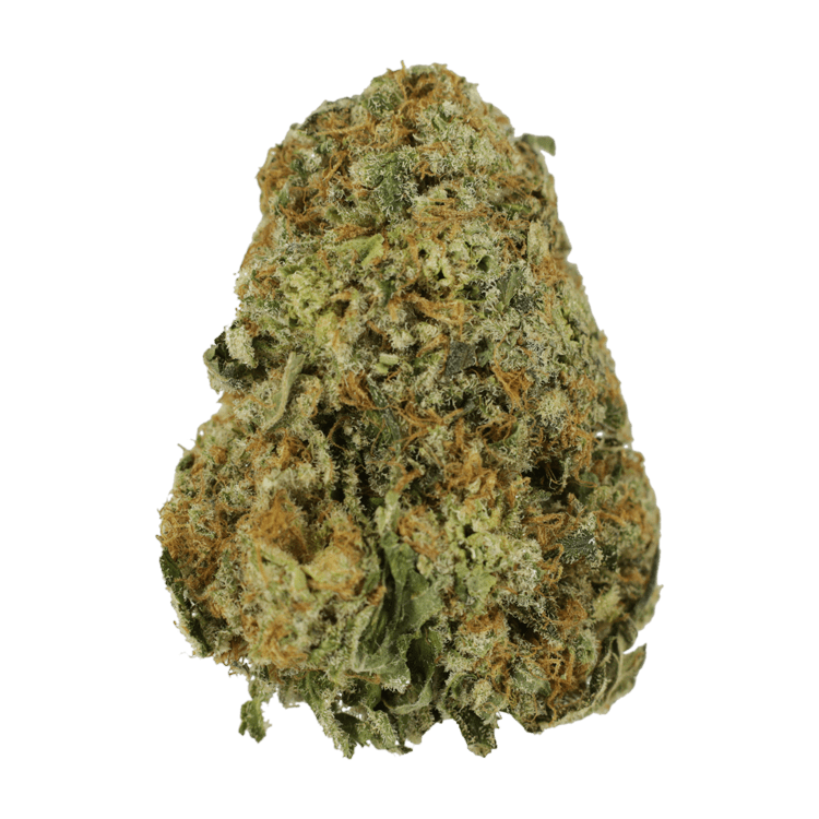 High School Sweetheart | BC Weed Edible Canada High School Sweetheart | BC Weed Edible Canada