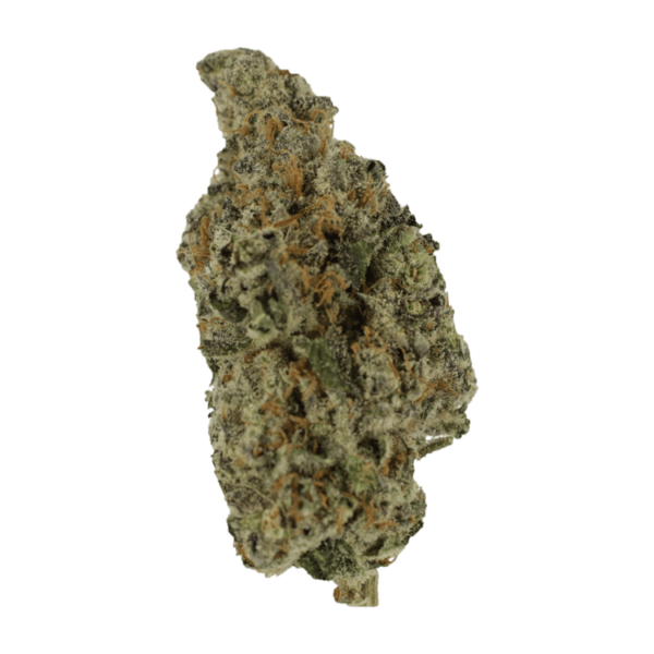 Biscotti Sundae | BC Weed Edible Canada