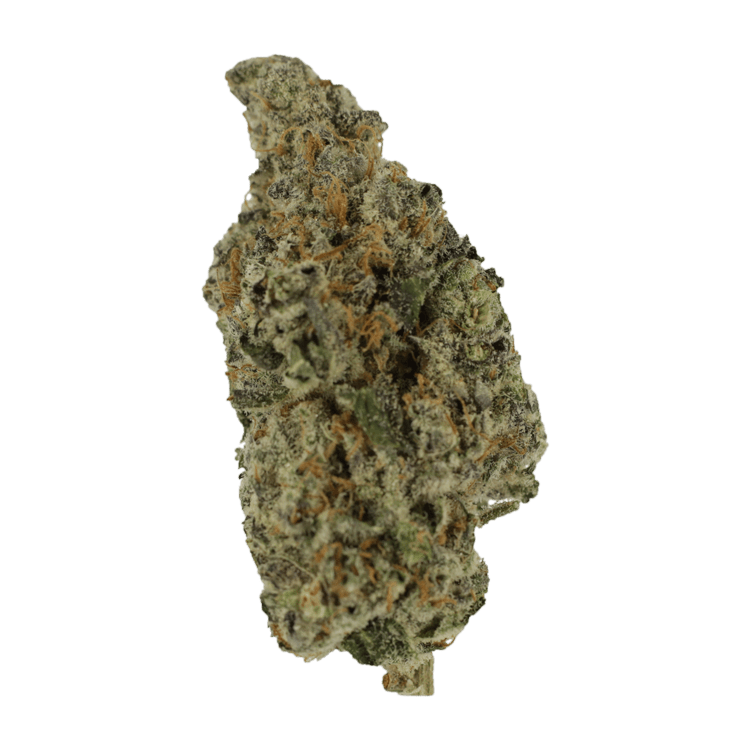 Biscotti Sundae | BC Weed Edible Canada