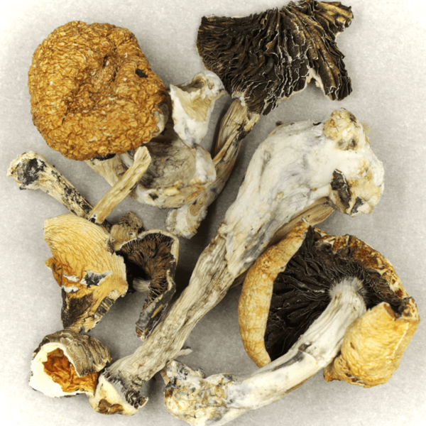 Treasure Coast | BC Weed Edible Canada