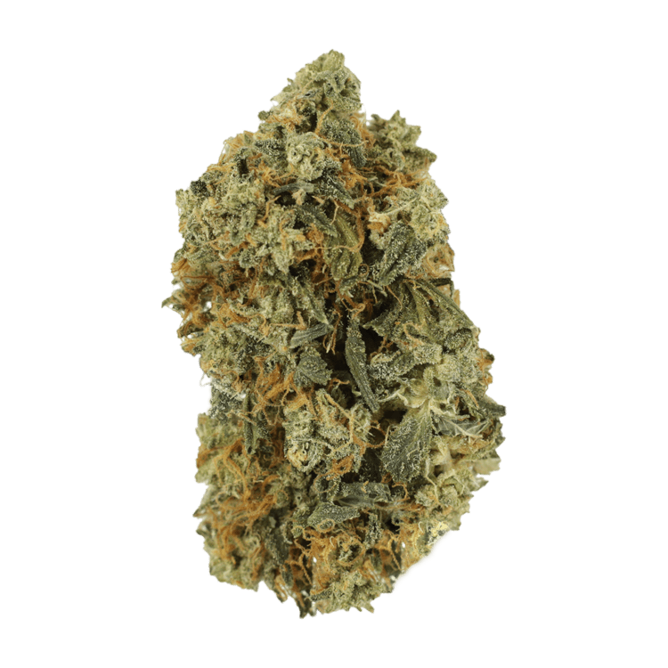 Blackwater | BC Weed Edible Canada