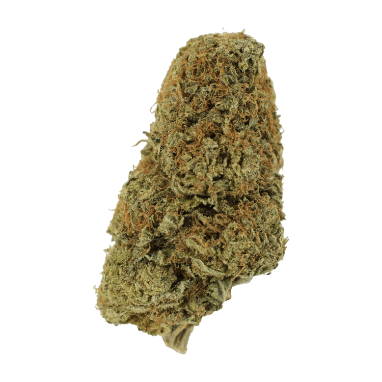 Sugar Pine | BC Weed Edible Canada