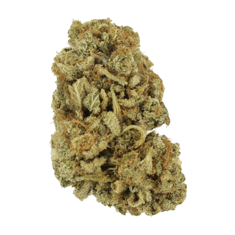 Blackwater | BC Weed Edible Canada