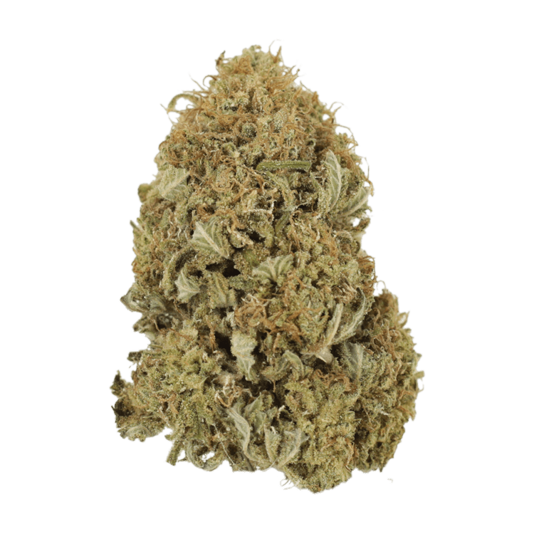 G13 | BC Weed Edible Canada