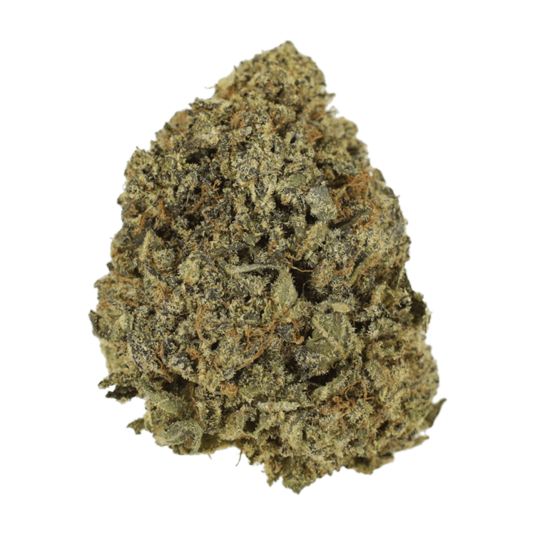 G13 | BC Weed Edible Canada