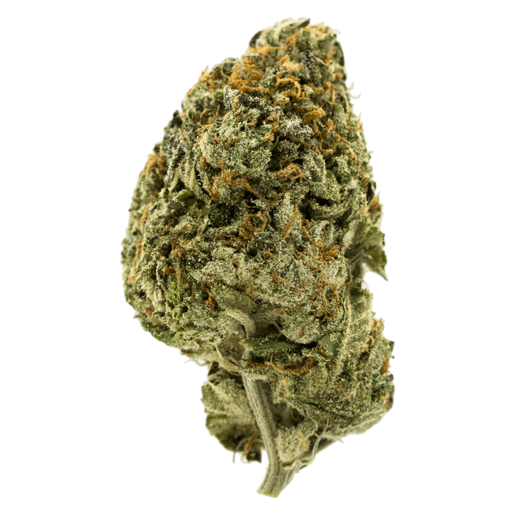 Apple Fritter | BC Weed Edible Canada