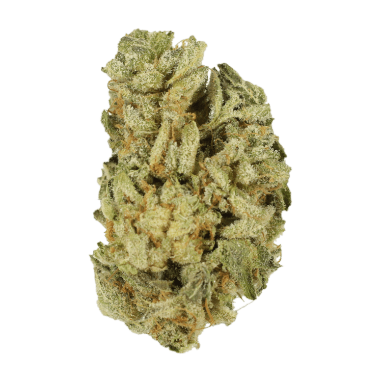 Mimosa Punch | BC Weed Edible Canada