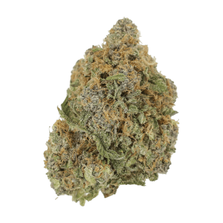 Jagermeister | BC Weed Edible Canada