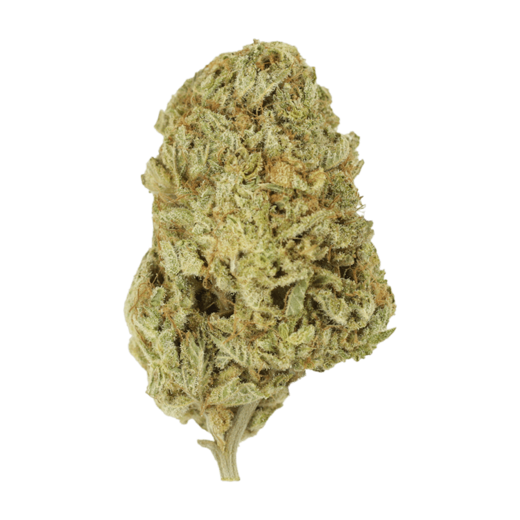 Face Mints | BC Weed Edible Canada