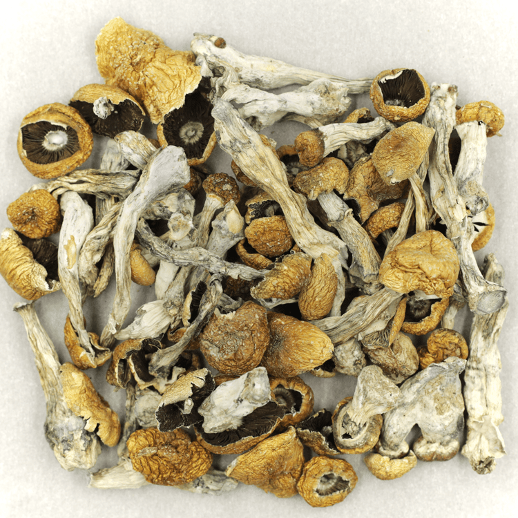 Orissa | BC Weed Edible Canada Orissa | BC Weed Edible Canada