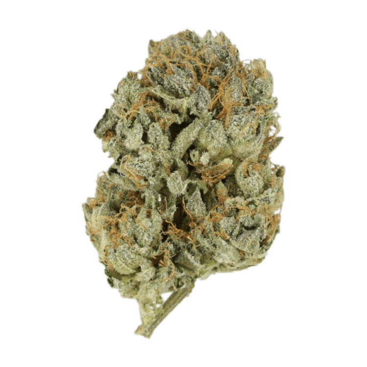 Kashmir Kush | BC Weed Edible Canada