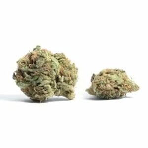BC Weed Edible Canada - White Truffle | BC Weed Edible Canada