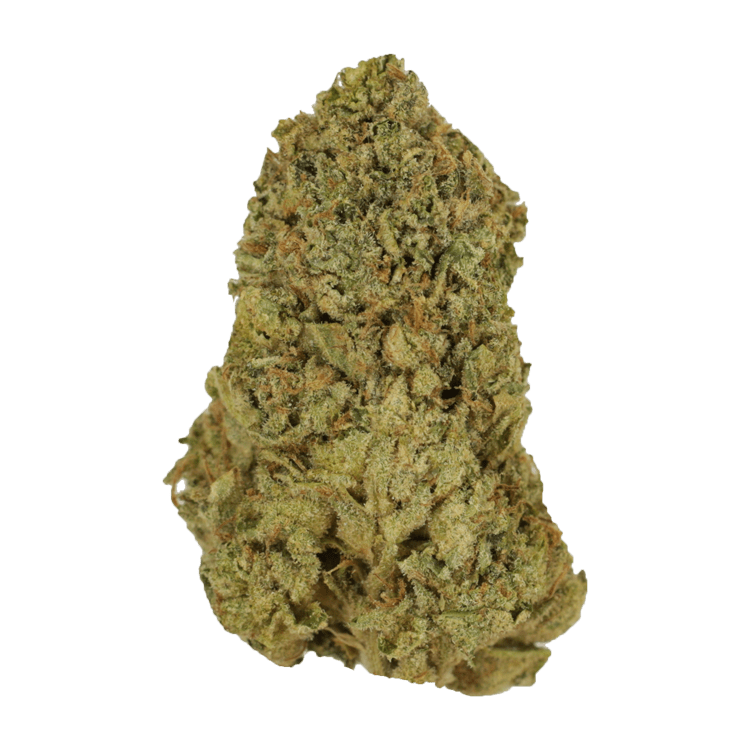 El Chapo | BC Weed Edible Canada