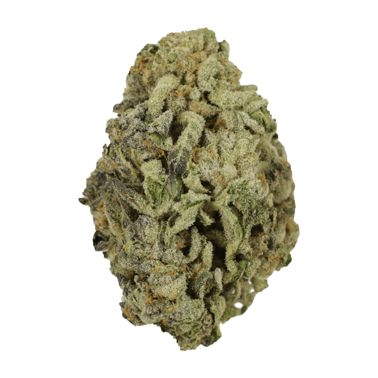 Oreoz | BC Weed Edible Canada