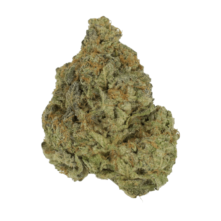 Black Biscotti | BC Weed Edible Canada