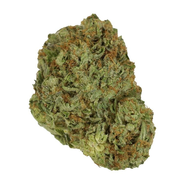 Blue Fin Tuna | BC Weed Edible Canada