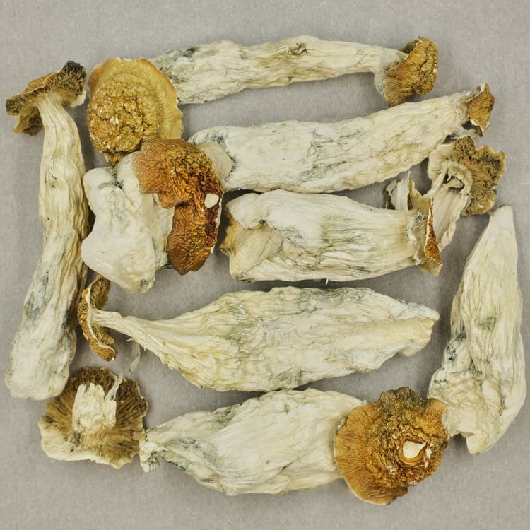 Makilla Gorilla | BC Weed Edible Canada